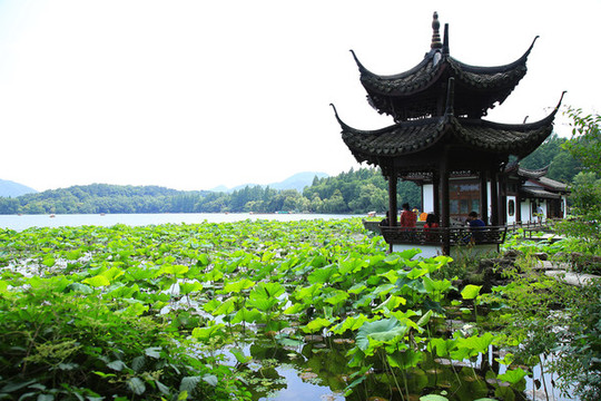 曲院風(fēng)荷景區(qū)