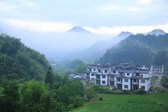 風景畫