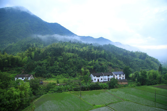 風景畫