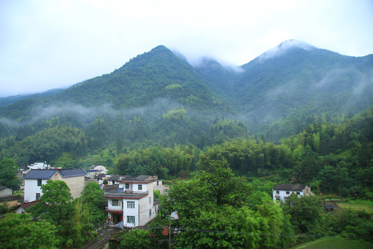 風景畫