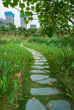 石頭石板路鄉(xiāng)間小路