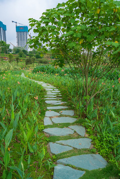 石頭石板路鄉(xiāng)間小路