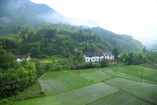 風(fēng)景畫