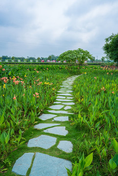 石頭石板路鄉(xiāng)間小路