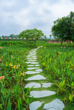 石頭石板路鄉(xiāng)間小路