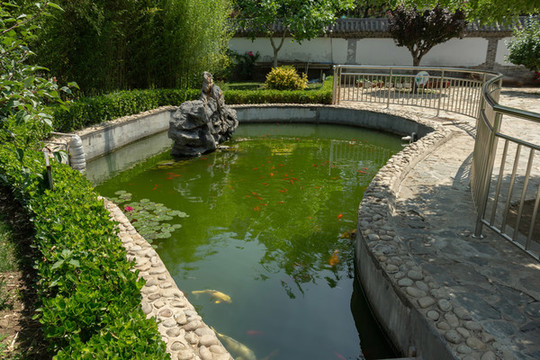 中式建筑觀賞魚塘