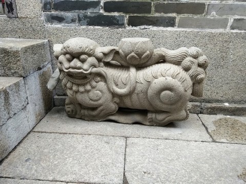 動(dòng)物