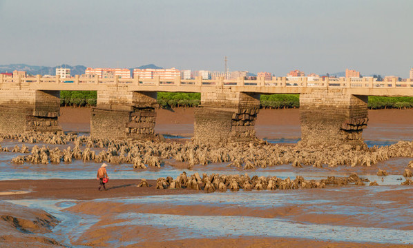 泉州洛陽橋