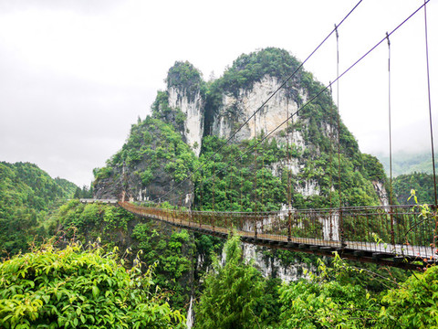 豐樂鎮(zhèn)楠木橋