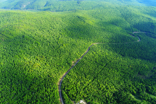 航拍綠色林海公路