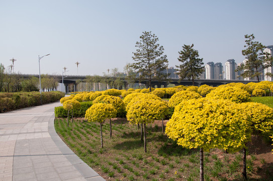 大同御東生態(tài)園