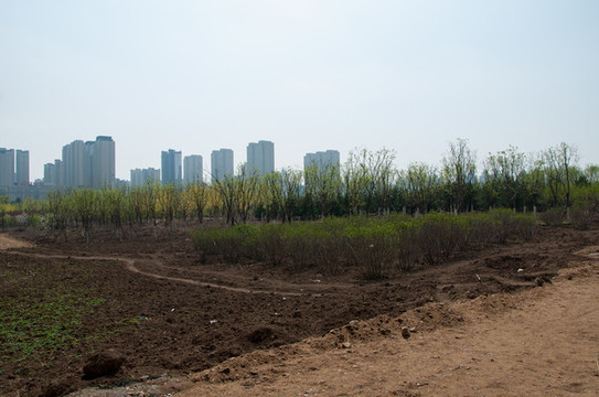 大同御東生態(tài)園