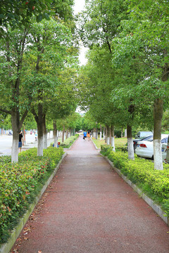橡膠跑道