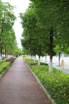 橡膠跑道