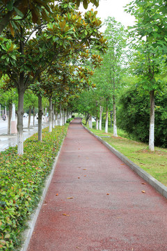 橡膠跑道