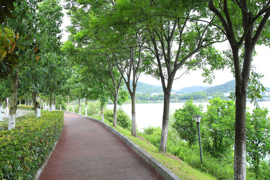 橡膠跑道