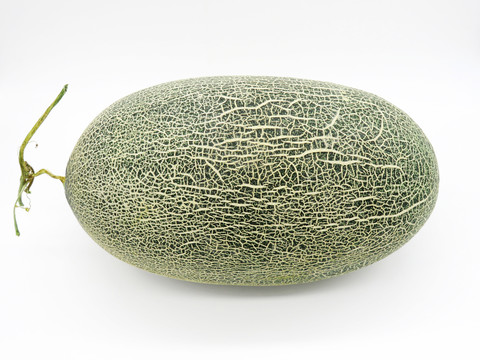 伽師瓜