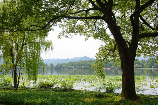 西湖風(fēng)光