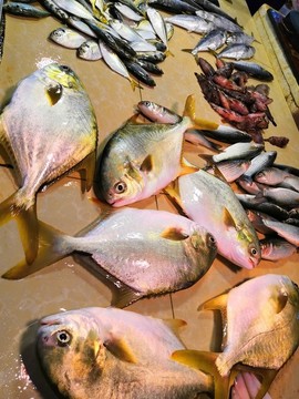 海鮮