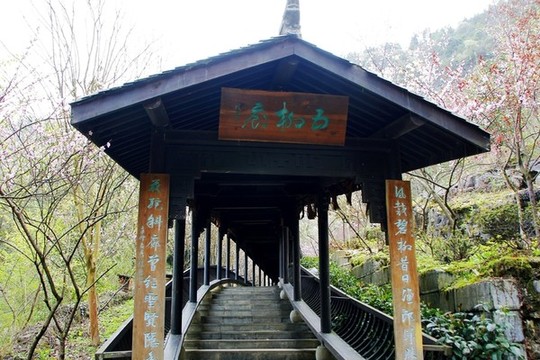 桃花源