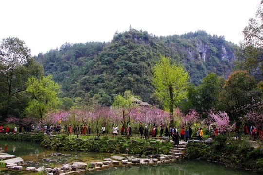 桃花源