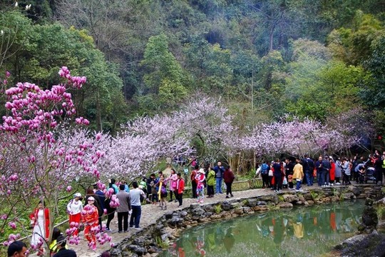 桃花源