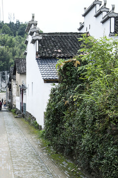 鄉(xiāng)村徽派建筑