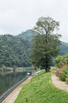 山川河流
