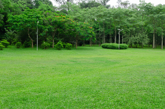 公園綠地
