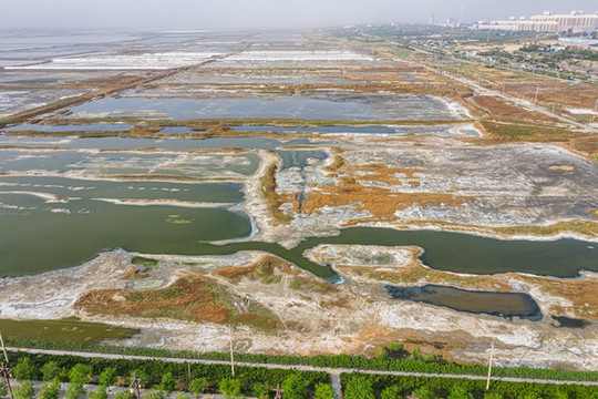 山西運城鹽池