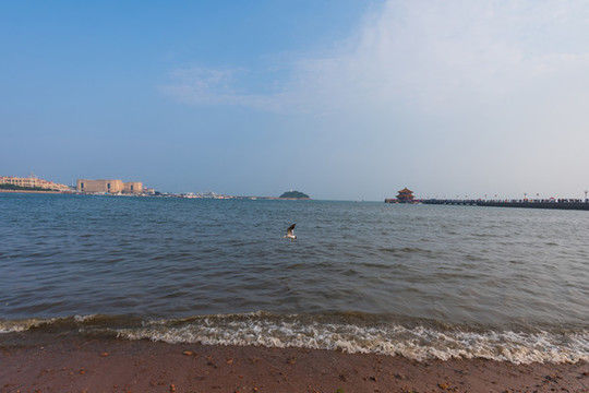 青島棧橋