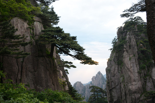 黃山