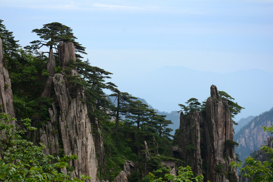 黃山風(fēng)光