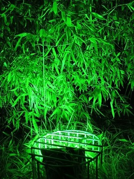 竹林夜景照明景觀