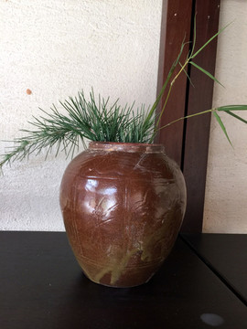 植物