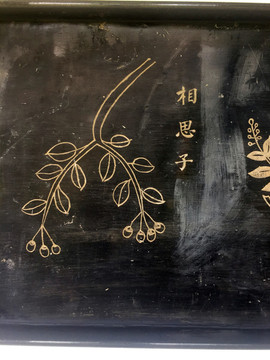 相思子