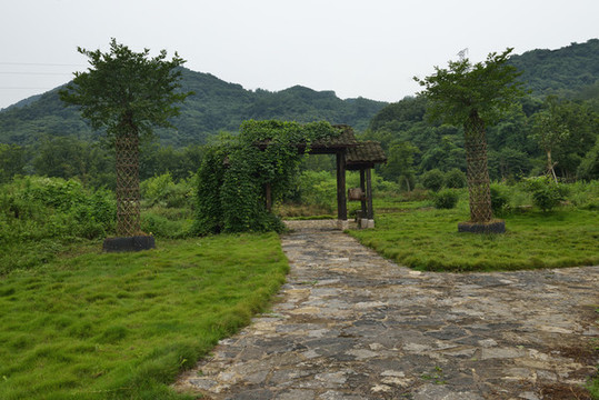 美麗鄉(xiāng)村