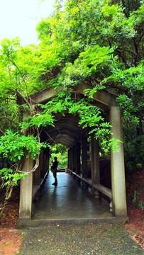 泉州仙公山