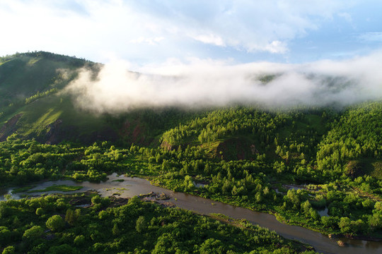 大興安嶺山林霧氣
