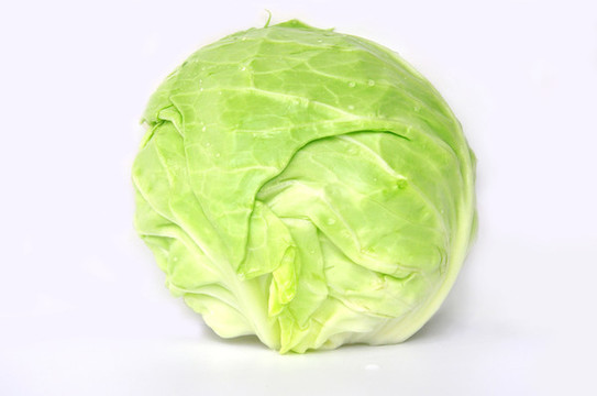 包心菜