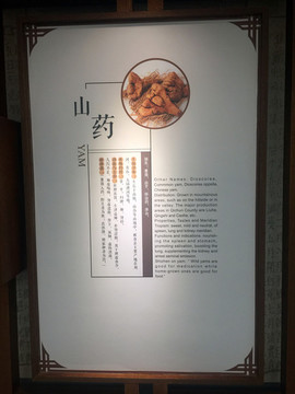 山藥