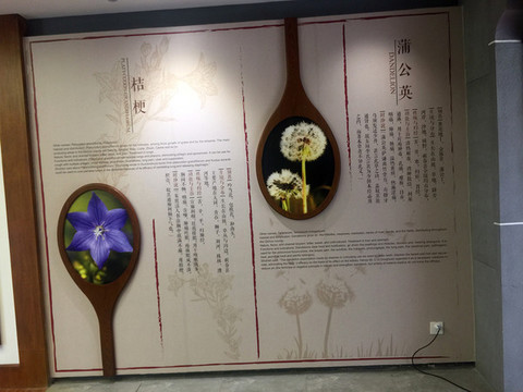 蒲公英藥材