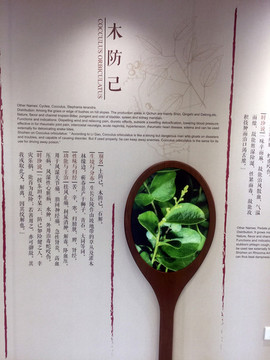中草藥材