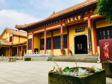 洗心禪寺