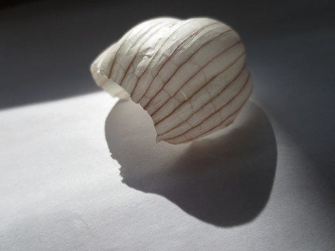蒜皮
