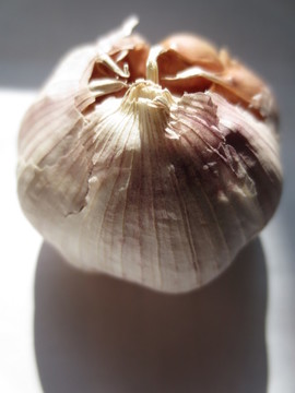 蒜