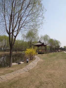 初春的公園
