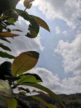 天空