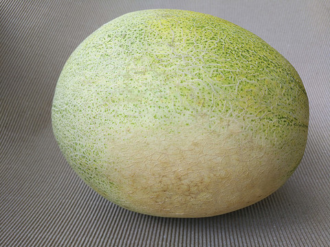 哈密瓜特寫