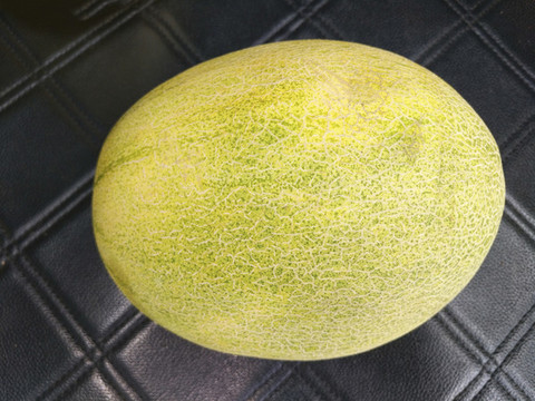 特寫哈密瓜